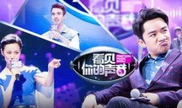 综艺节目免费在线观看,热门综艺节目免费在线观看攻略